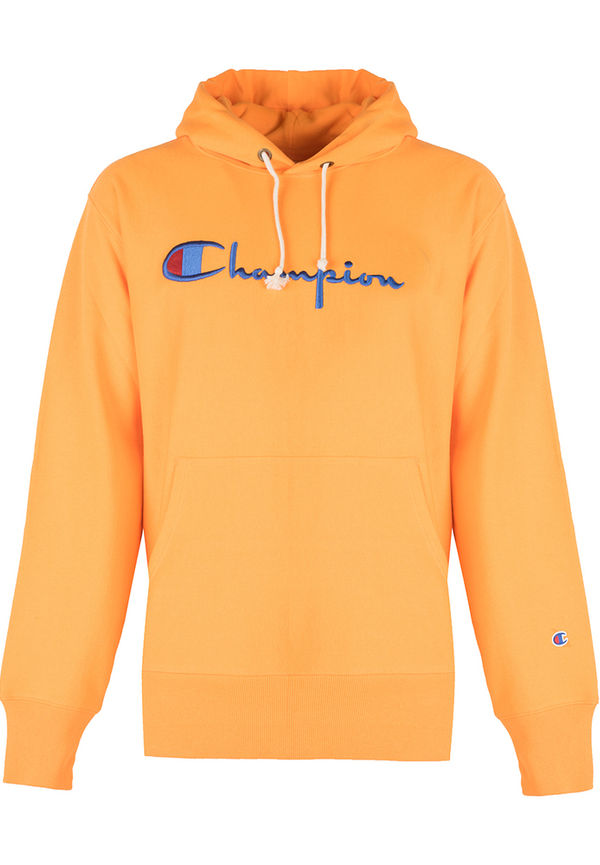 Champion hoodie dam discount