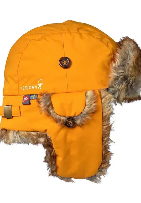 Squirrel Vintermössa