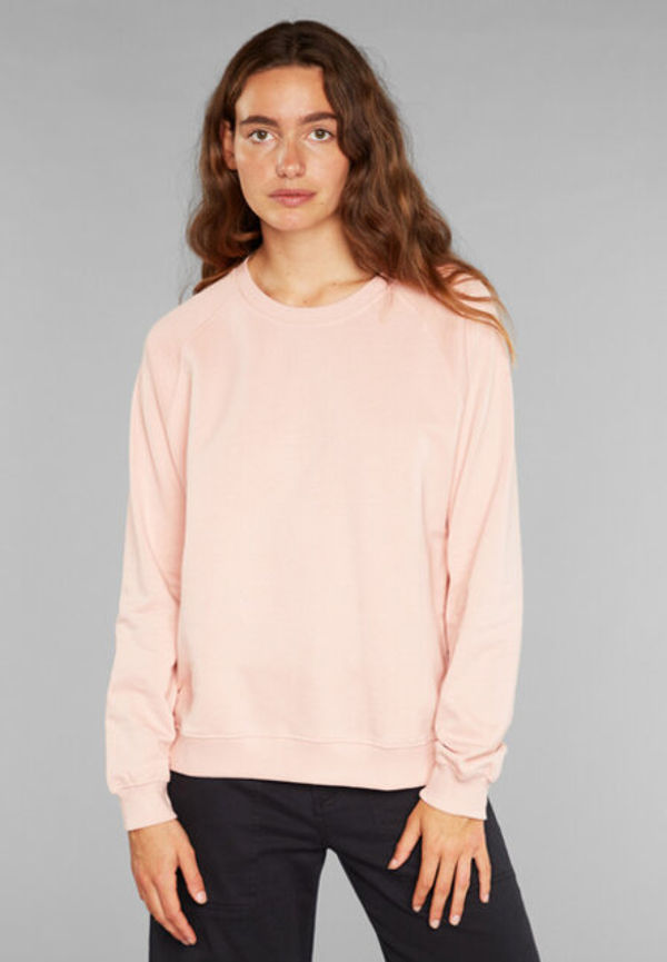 Sweatshirt Ystad Raglan Base Silver Pink