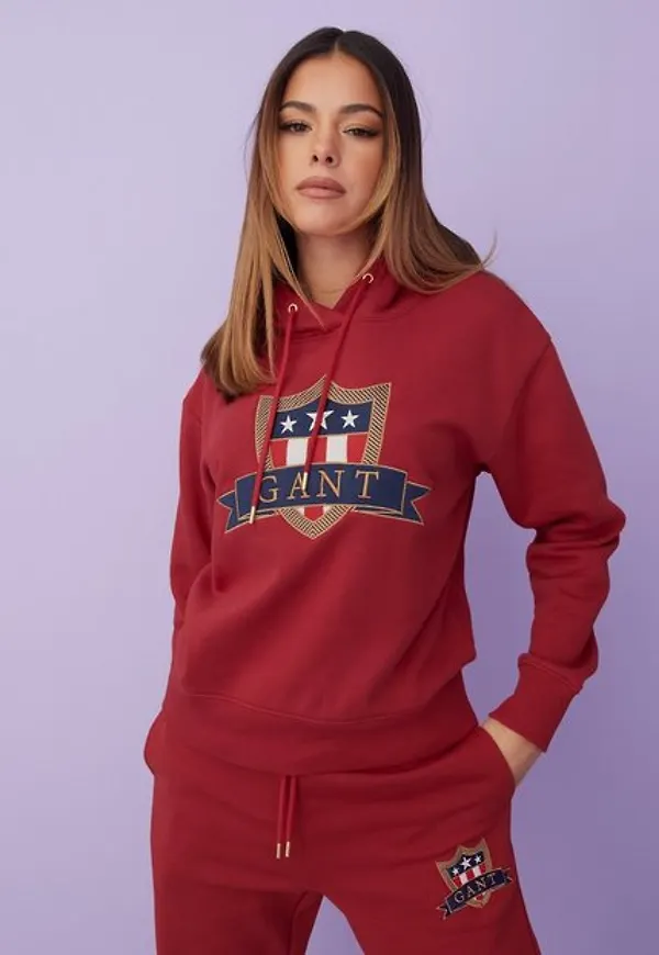Gant D1. Gant Banner Shield Hoodie Hoodies Red