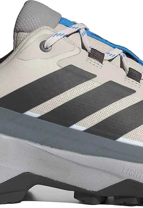 Adidas Men's Terrex Skychaser Ax5 Wonder alumina/Carbon/Grey four