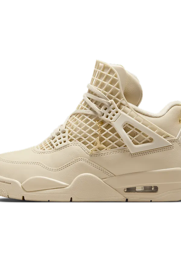 Air Jordan 4 Net