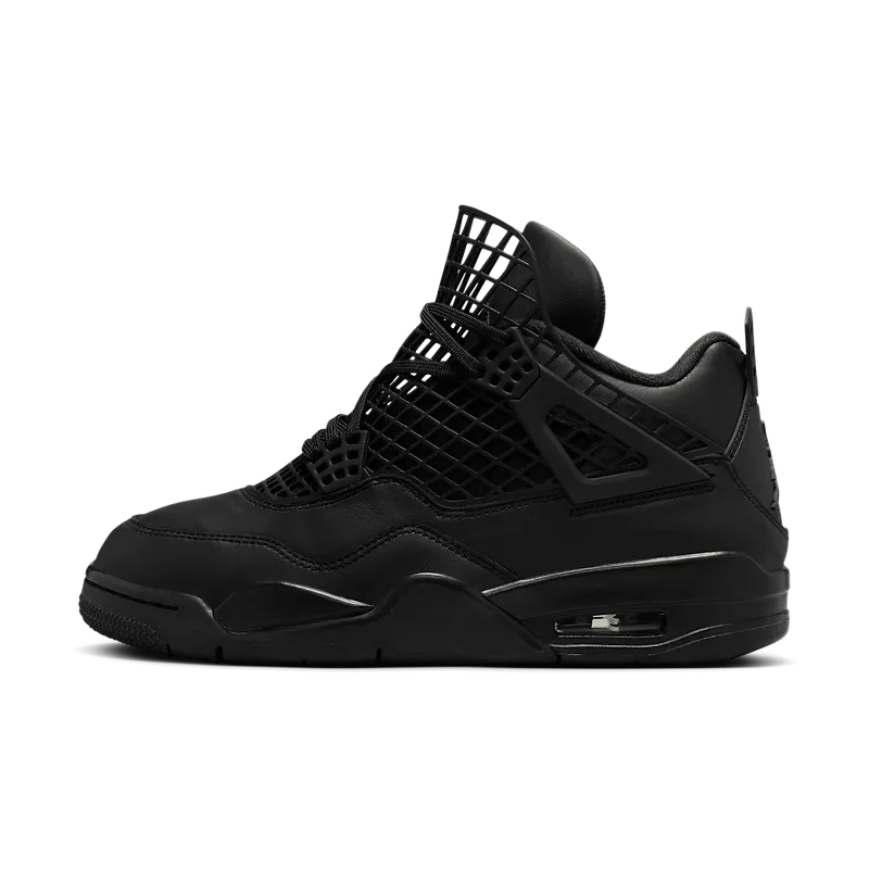 Air Jordan 4 Net