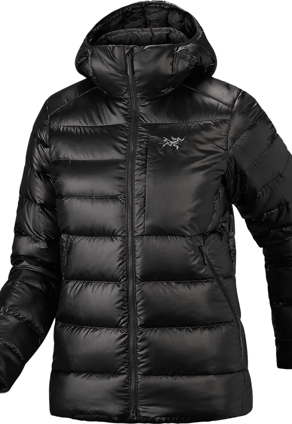 Arc'teryx Women's Cerium SV Hoody Black
