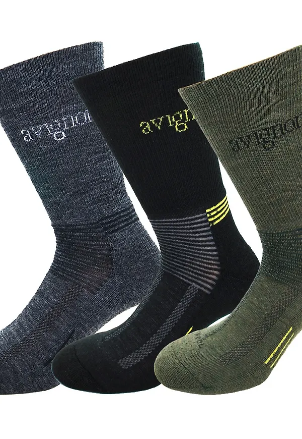 Avignon Unisex Terry Wool 3-Pack Multicolour