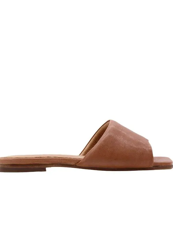 bisgaard Mules Brun, Dam