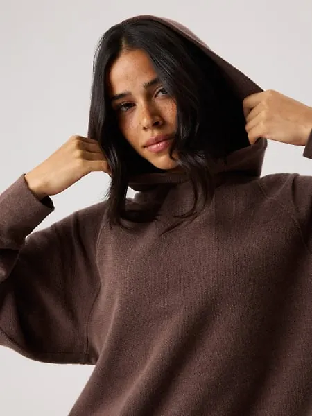 Björn Borg Studio French Terry Oversized Hoodie Brun, XS