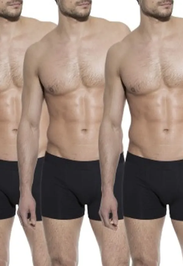 Bread and Boxers Boxer Briefs Kalsonger 3P Svart ekologisk bomull Large Herr