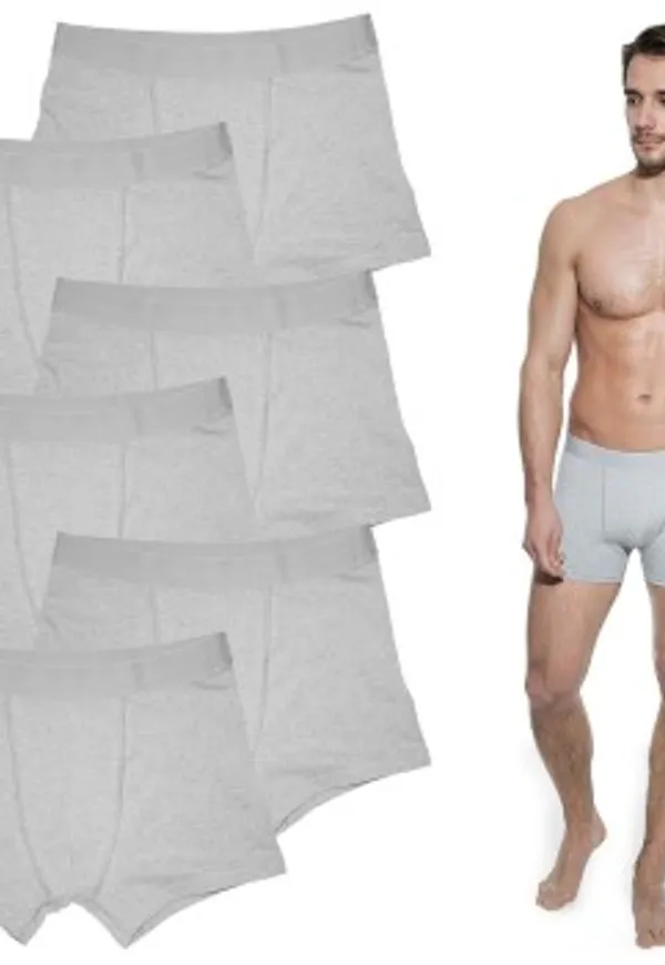 Bread and Boxers Boxer Briefs Kalsonger 6P Grå ekologisk bomull Small Herr