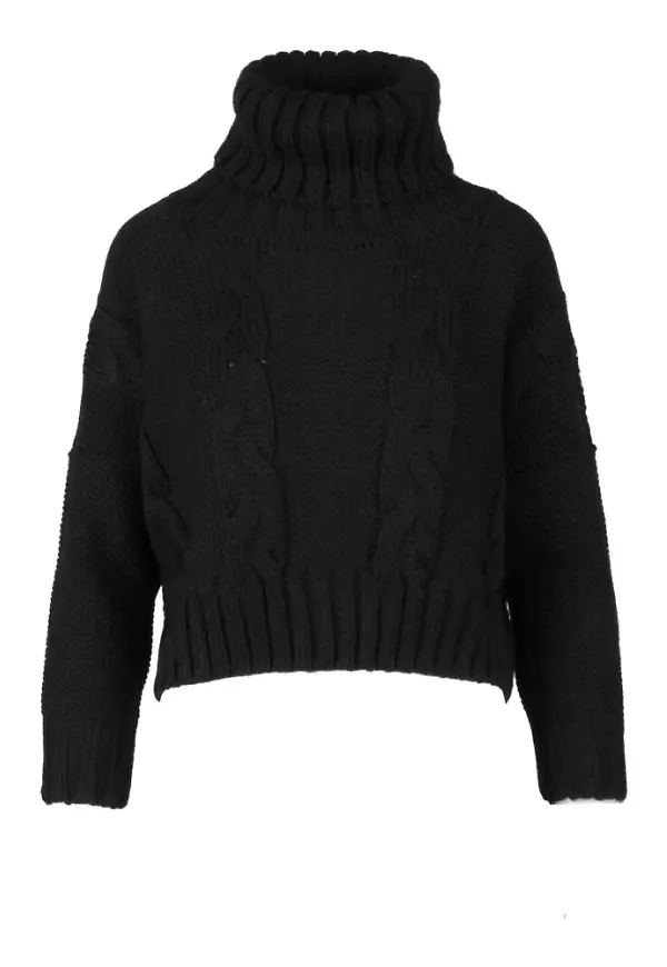 Cashmere Company Knitwear Svart, Dam