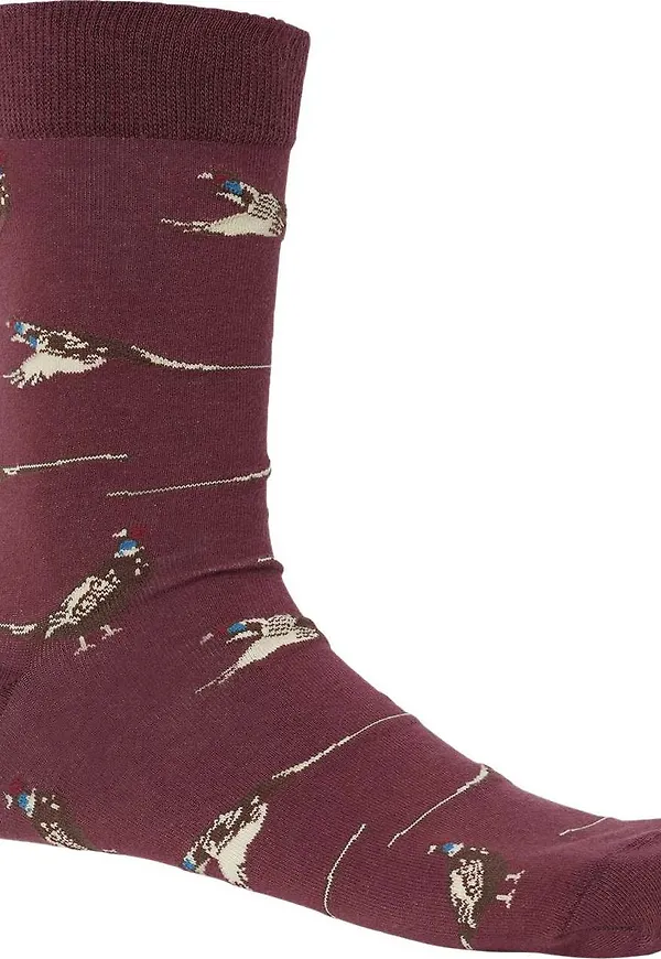 Chevalier Pomeroy Sock Fox Red Pheasant
