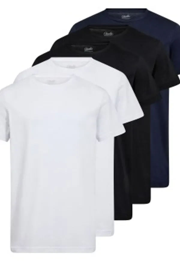 Claudio 5P Cotton T-Shirt Flerfärgad bomull Small Herr