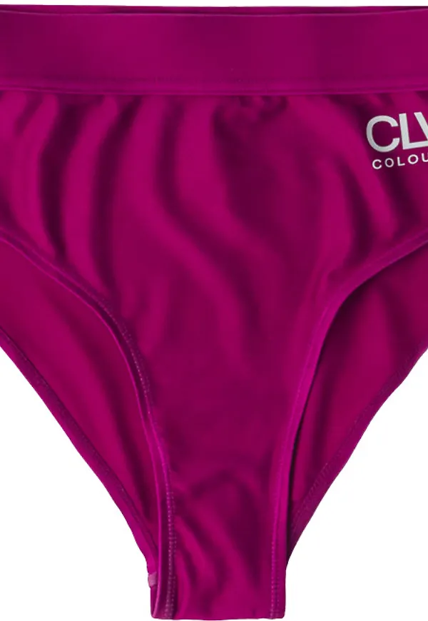 ColourWear Women's High Waist Bikini Bottom Purple