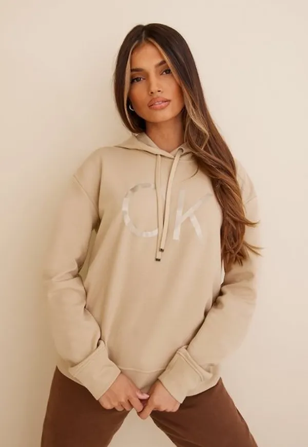 Calvin Klein Shine Logo Reg Hoodie Hoodies