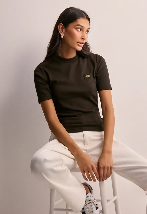 Dickies - Brun - Marysville Ss Tee