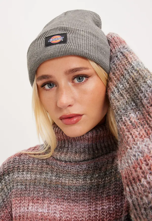 Dickies - Grå - Gibsland Beanie