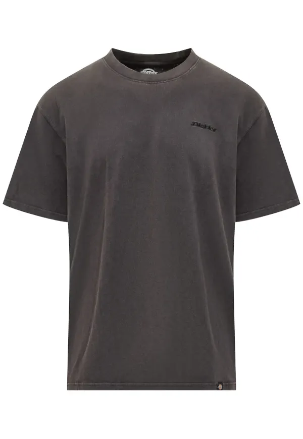 DICKIES Plentywood t-shirt - Svart