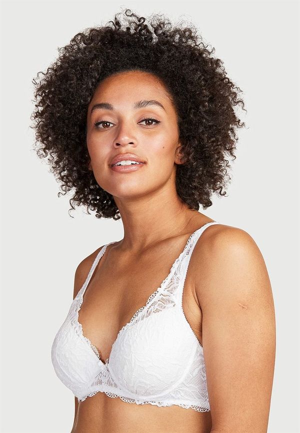Dolly push up-bh Dolly