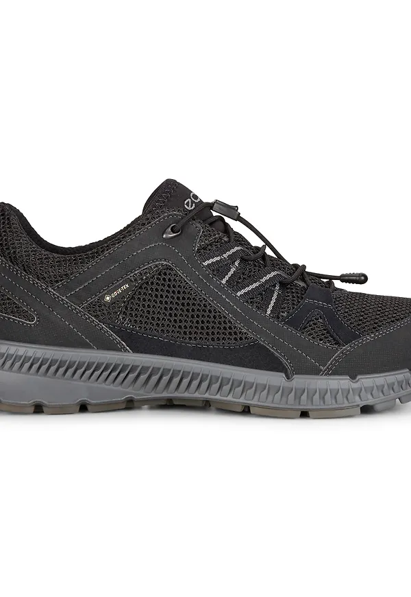 Ecco Men's Terracruise II Black/Black