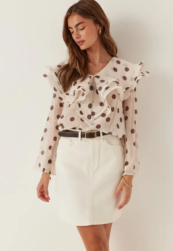 Flounce Sheer Blouse