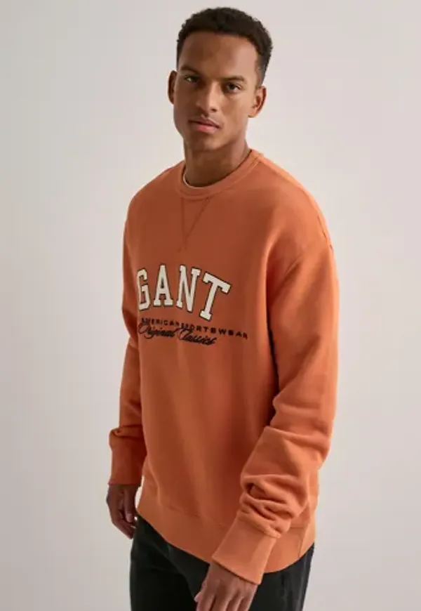 Gant Graphic Sweatshirt Sweatshirts Orange