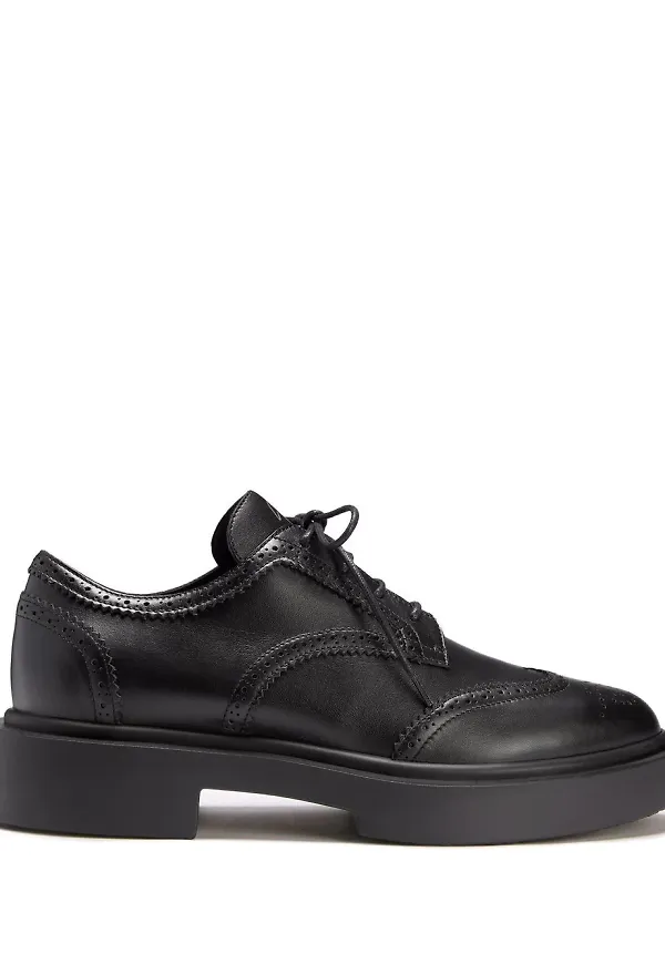 Giuseppe Zanotti Harold Derby brogues - Svart