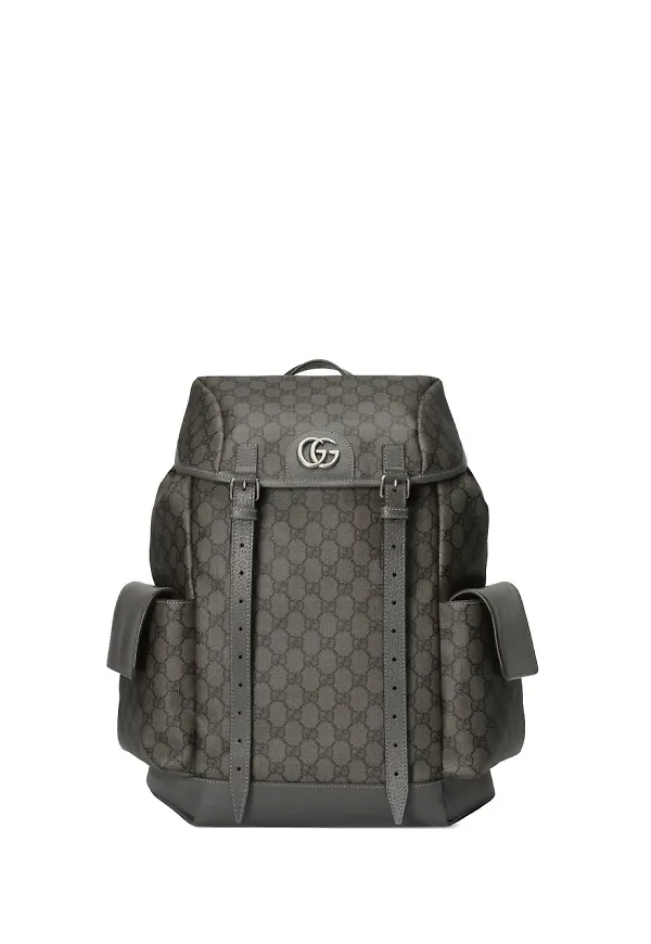 Gucci Ophidia ryggsäck - Grå