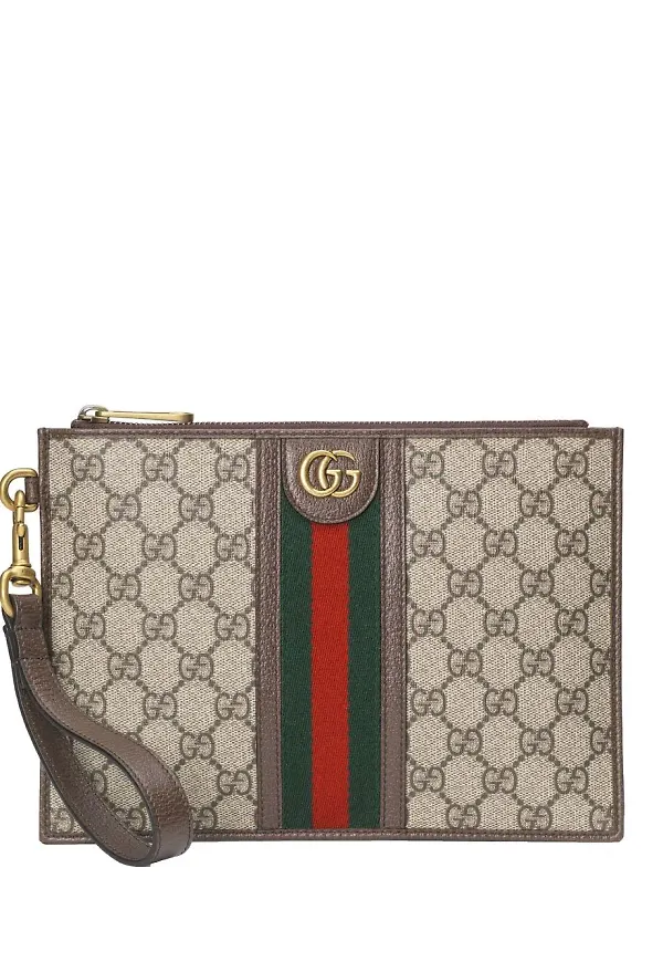 Gucci Web Ophidia pouch - Neutral