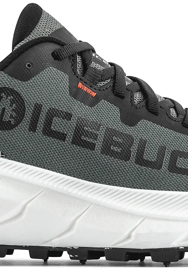 Icebug Women's Arcus 2 BUGrip GORE-TEX Grey