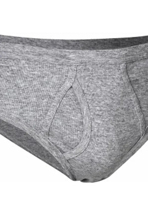JBS Kalsonger Basic Fly Brief Grå bomull Large Herr