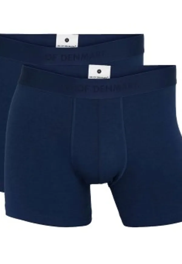 JBS of Denmark Kalsonger 2P Tights Boxers Blå X-Large Herr