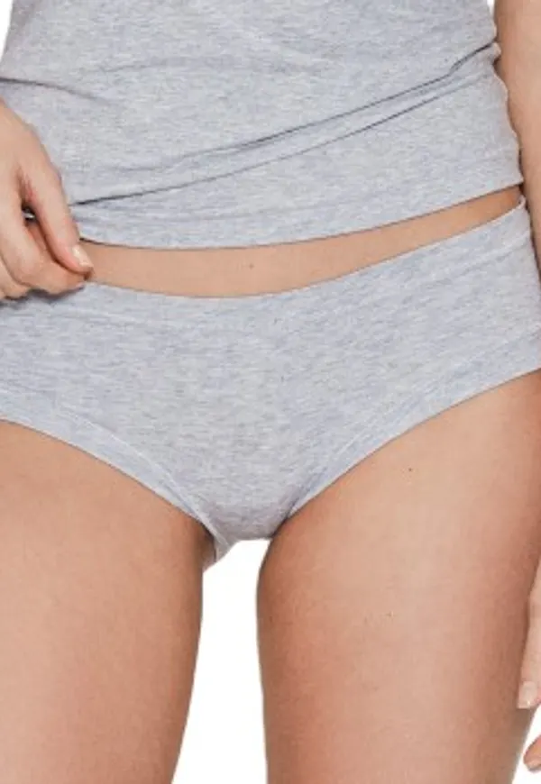 JBS of Denmark Trosor Bamboo Hipster Ljusgrå XX-Large Dam