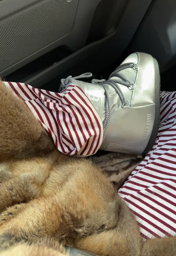 Moonboots - Silver - Mb Icon Low Glance