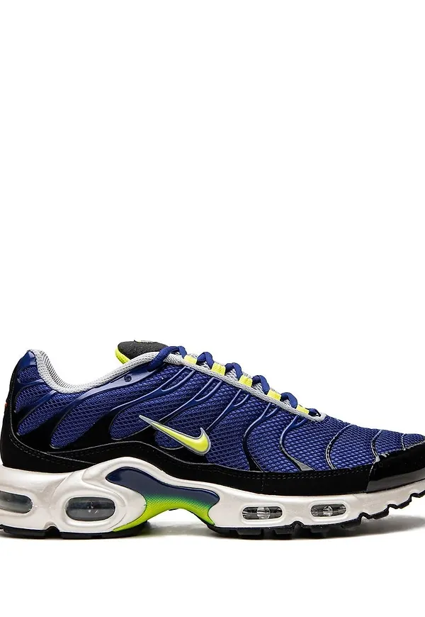 Nike Air Max Plus sneakers - Blå