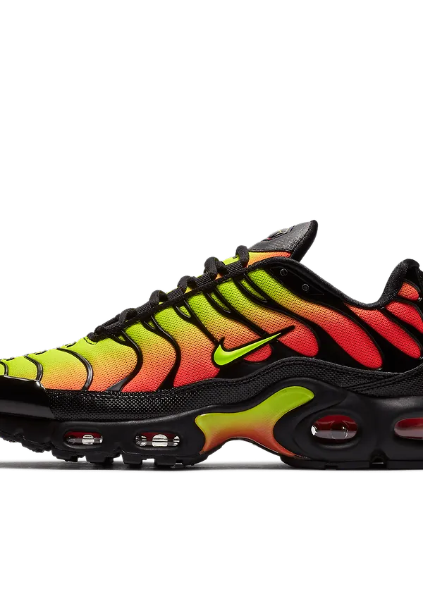 Nike Air Max Plus TN SE