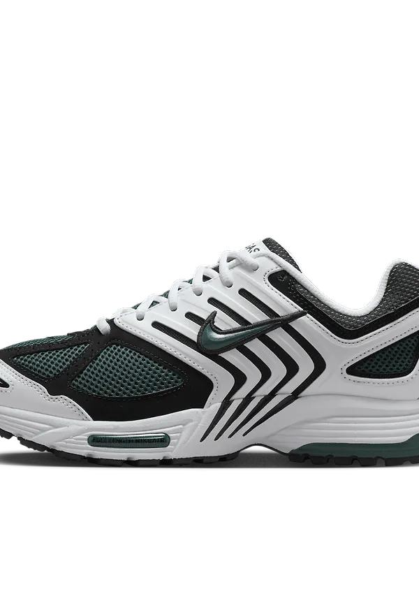 Nike Air Pegasus 2005