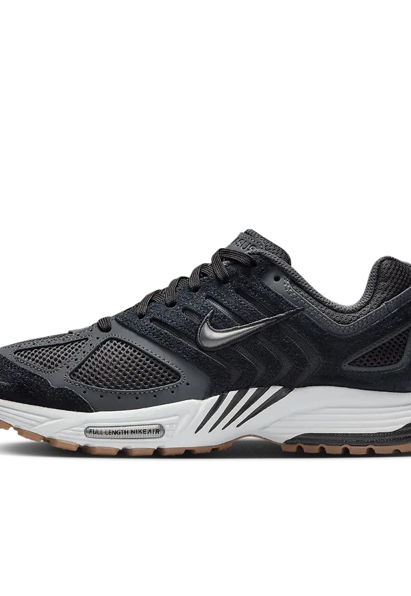 Nike Air Pegasus 2005