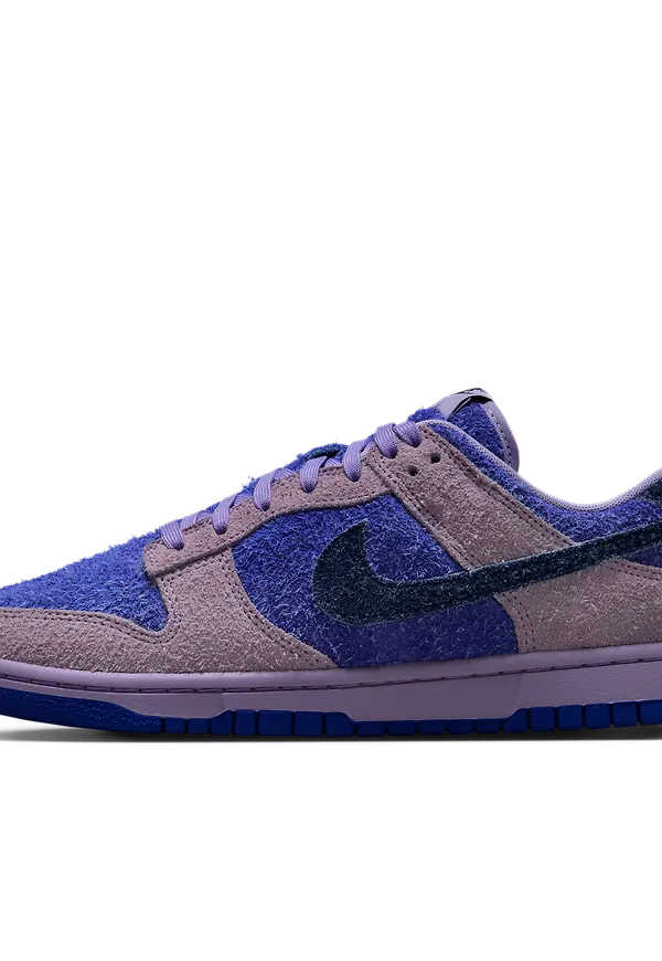 Nike Dunk Low SE