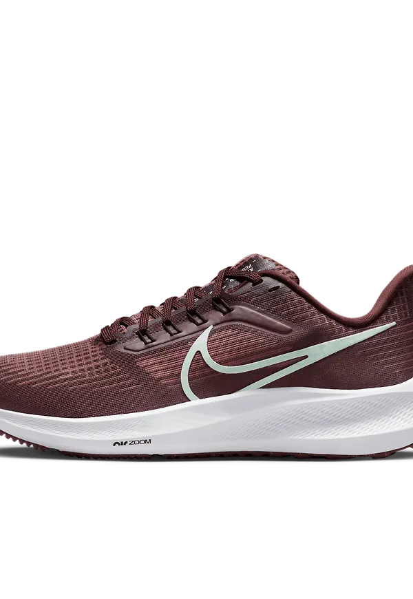 Nike Pegasus 39