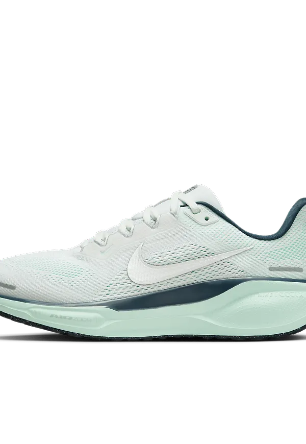 Nike Pegasus 41
