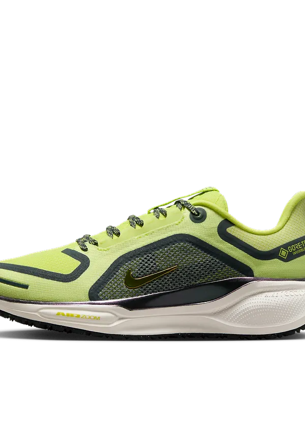 Nike Pegasus 41 GORE-TEX