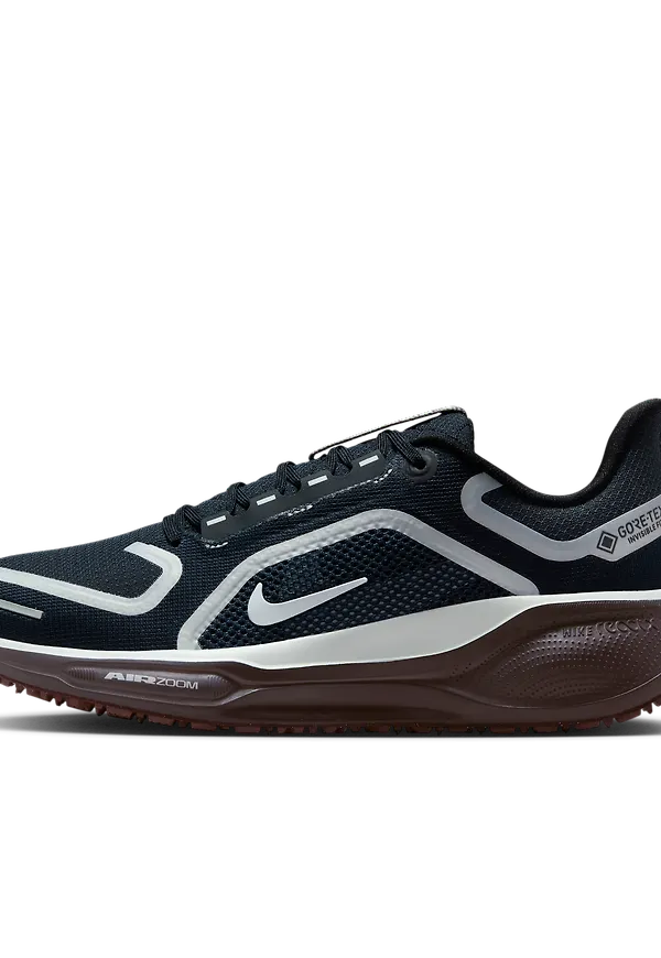 Nike Pegasus 41 GORE-TEX