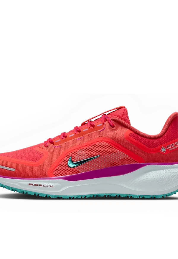 Nike Pegasus 41 GORE-TEX