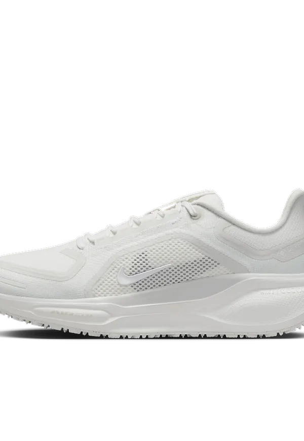 Nike Pegasus 41 GORE-TEX