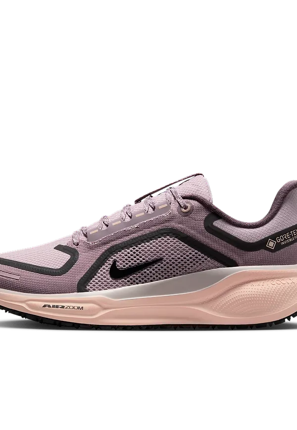 Nike Pegasus 41 GORE-TEX