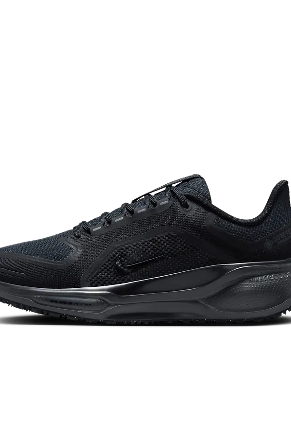 Nike Pegasus 41 GORE-TEX