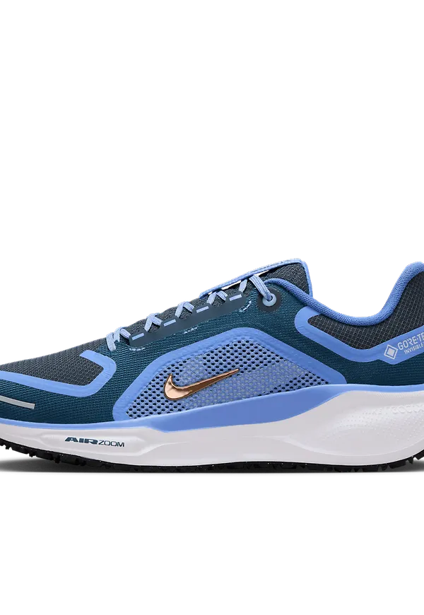 Nike Pegasus 41 GORE-TEX