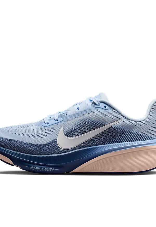 Nike Pegasus 42