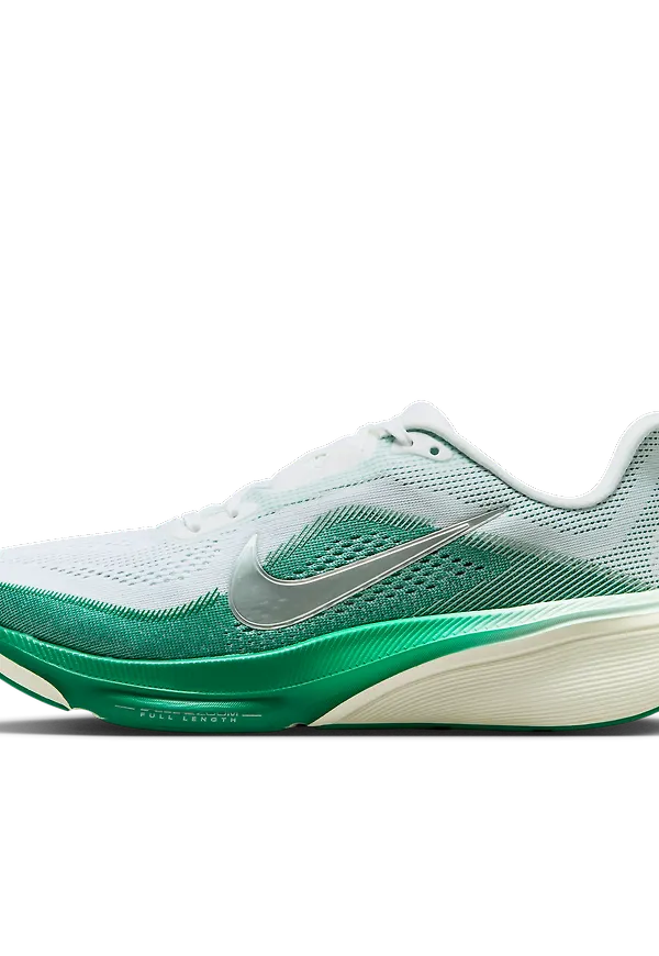 Nike Pegasus 42
