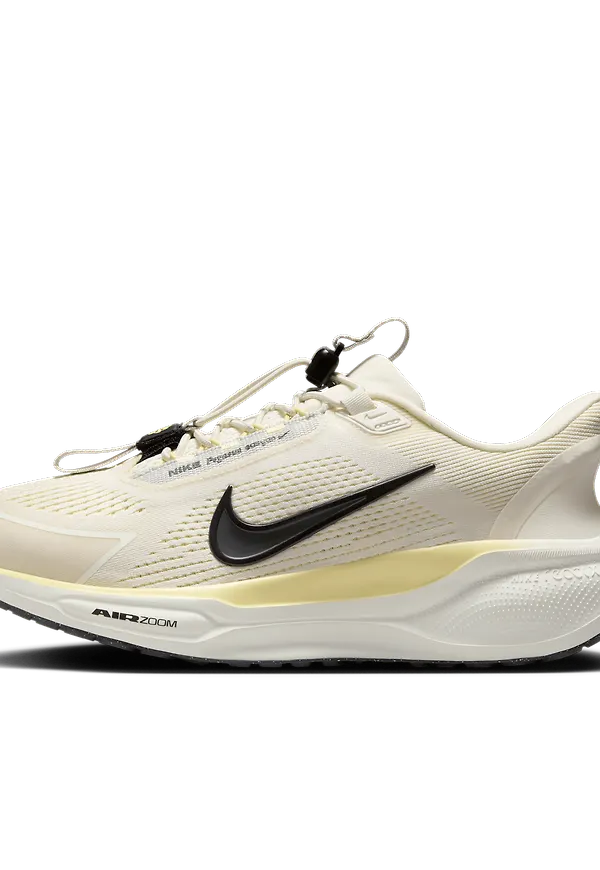 Nike Pegasus EasyOn